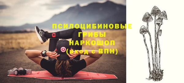 винт Заводоуковск