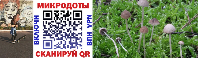Галлюциногенные грибы Magic Shrooms  где купить   Свирск 